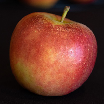 appel een appel gratis te verkrijgen bij Lupi Coffee een bedrijf van Hossein Akef
